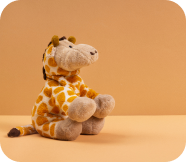 Zebra Teddy